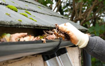 gutter cleaning Washbrook