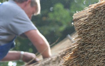 professional Washbrook thatchers